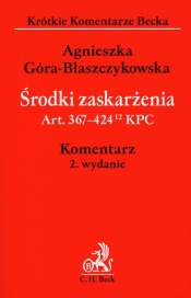Środki zaskarżenia