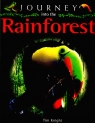 Journey into the Rainforest