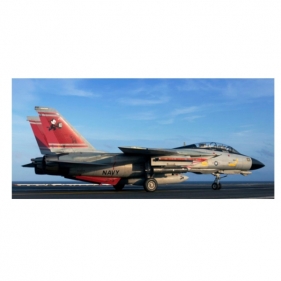 REVELL F14D Super Tomcat (03960)