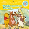Opowiastki ze Stuwiekowego Lasu. Wielkie zmartwienie Maleństwa. Disney. Kubuś Thea Feldman