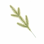 Gałązka do stroików