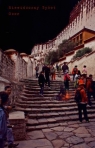 Niewidoczny Tybet Oser