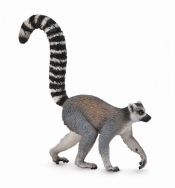 Lemur (88831)