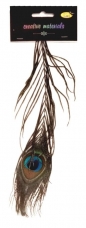 Pióro pawia 25cm