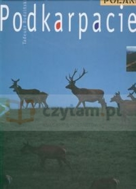 Podkarpacie - Budziński Tadeusz