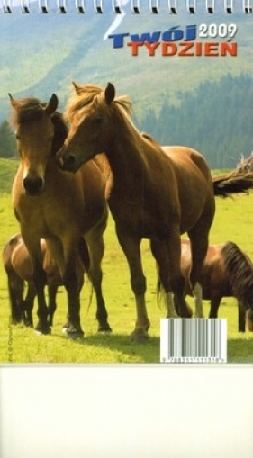 Kalendarz 2009 Biurowy B6