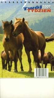 Kalendarz 2009 Biurowy B6