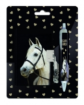 Zestaw pamiętnik na kłódkę z długopisem Paso Horse (18-3643HS)