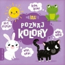Poznaj kolory