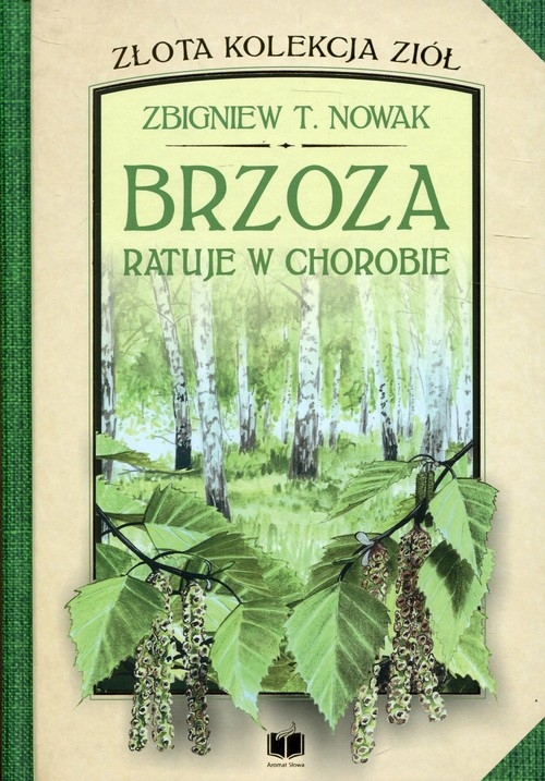 Brzoza ratuje w chorobie