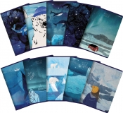 TOP-2000, Zeszyt A5 Winter Sailor - 32 kartki w kratkę (400157859)
