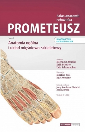 Prometeusz Atlas anatomii człowieka Tom 1 - Michael Schunke, Erik Schulte, Udo Schumacher