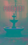 Podchody