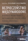 Bezpieczeństwo międzynarodowe w aspekcie niemilitarnych instrumentów