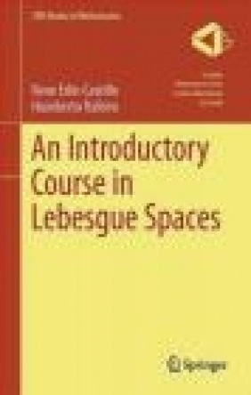 An Introductory Course in Lebesgue Spaces 2016