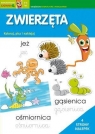 Marchewkowe zadania 3-6 lat. Zwierzęta