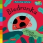 Akademia mądrego dziecka. Pokochaj naturę. Biedronka - Teresa Bellon