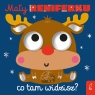  Mały reniferku, co tam widzisz?