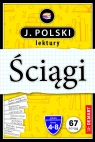  Język polski. Lektury. Ściągi edukacyjne