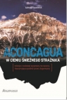 Aconcagua. W cieniu śnieżnego strażnika Kocewiak Łukasz