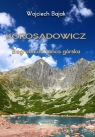 Korosadowicz. Biografia do końca górska Wojciech Bajak