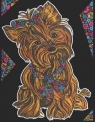 Kolorowanka Welwetowa Colorvelvet A4 Yorkshire Terrier