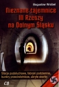 Nieznane tajemnice III Rzeszy na Dolnym Śląsku - Bogusław Wróbel