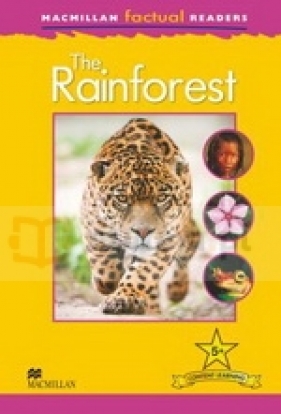 MFR 5: Rainforest