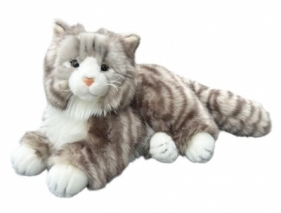 Kot norweski leżący 30cm