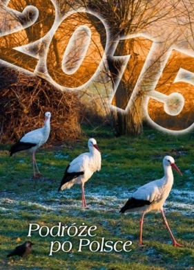 Kalendarz 2015 Podróże po Polsce SM1 - <br />