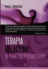 Terapia relacyjna w praktyce psychoterapii
