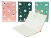 Notes A5 w kratkę MIX