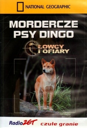 Mordercze psy dingo. Łowcy i ofiary