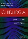 Chirurgia Jelito cienkie Jelito grube