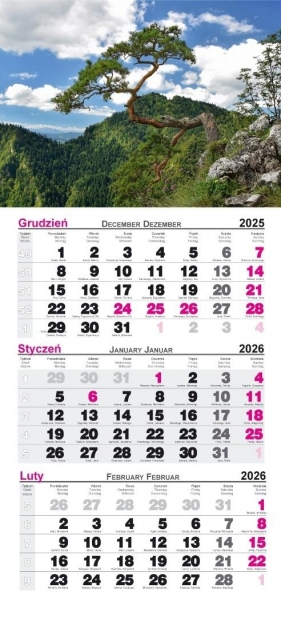 Kalendarz 2026 ścienny trójdzielny Pieniny
