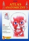 Atlas anatomiczny