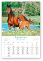 Kalendarz 2022 Reklamowy Konie w obiektywie RW13