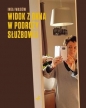 Widok z okna w podróży służbowej - Inga Iwasiów, Inga Iwasiów