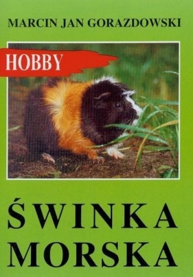 Świnka morska - Marcin Jan Gorazdowski