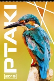 Kalendarz 2019 Wieloplanszowy Ptaki