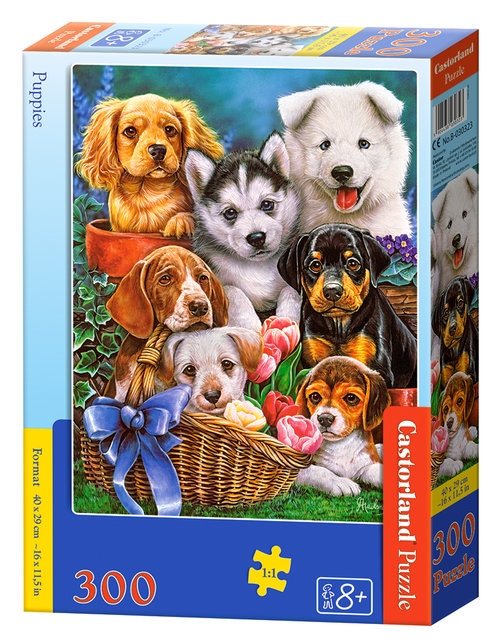Puzzle Castorland Puppies 300 (B-030323)