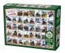 Puzzle 1000 Kolej w Stanach Zjednoczonych 112628 12+