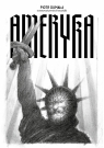  Ameryka