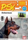 Doberman. Kolekcja Psy. Część 15. Fakt poleca (figurka + plakat) Opracowanie zbiorowe