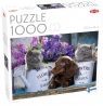Puzzle 1000 Watering Can