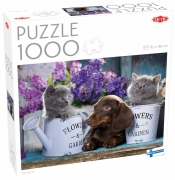 Tactic, Puzzle Lovers 1000: Watering Can