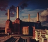 Animals (Digipack)