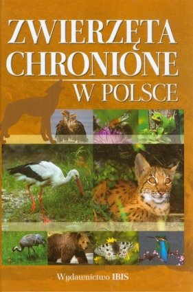 Zwierzęta chronione w Polsce - Weber Sylwia<br />