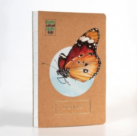 Notes Motyl