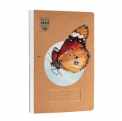 Notes Motyl